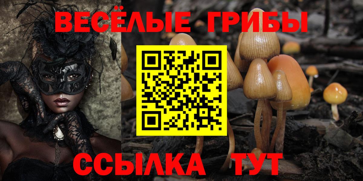 Мыски  Галлюциногенные грибы Psilocybine cubensis  Вход с VPN 