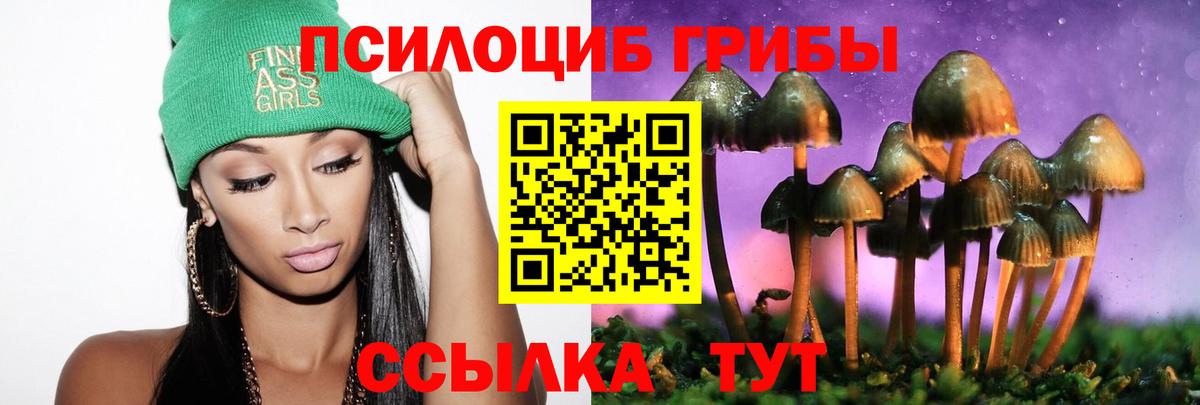 Галлюциногенные грибы Cubensis Мыски